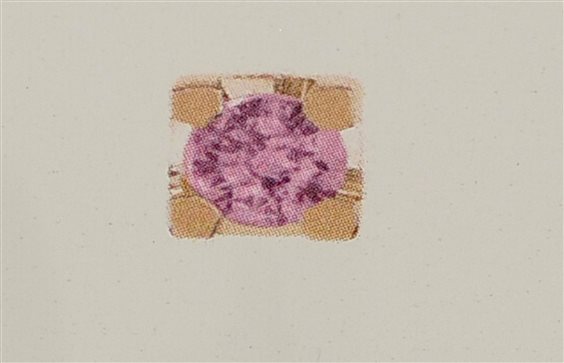 Colgante Dédié in Oro rosa CID0139 ZP RO - CID0139 ZP RO